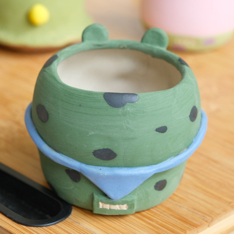 Frog Piggy Medium Sized Handmade Pot