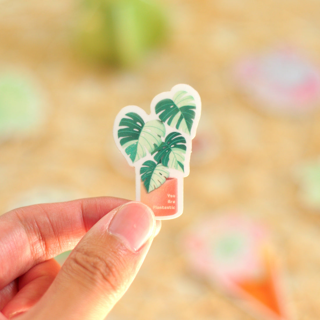 Variegated Monstera Sticker - Clear Vinyl, Waterproof Houseplant Sticker