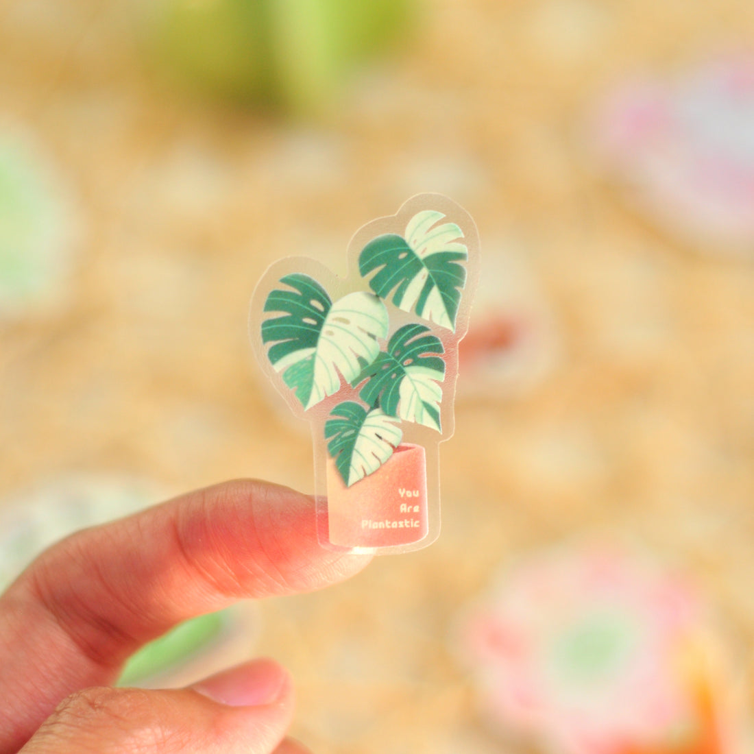 Variegated Monstera Sticker - Clear Vinyl, Waterproof Houseplant Sticker